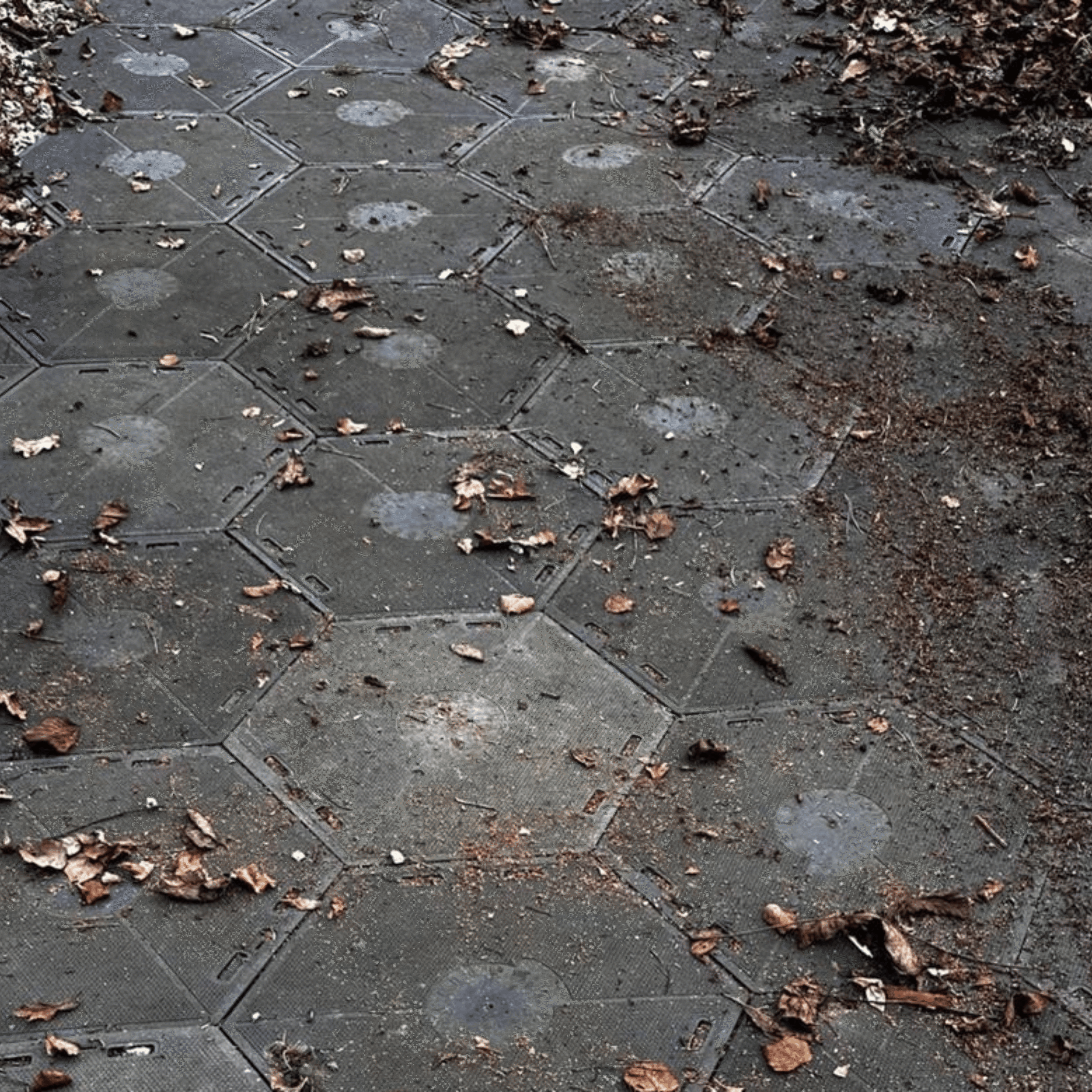 Droga leśna X-Floor